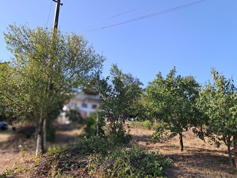 Ploiesti, Chitorani, casa plus teren 3.600 mp de vanzare,