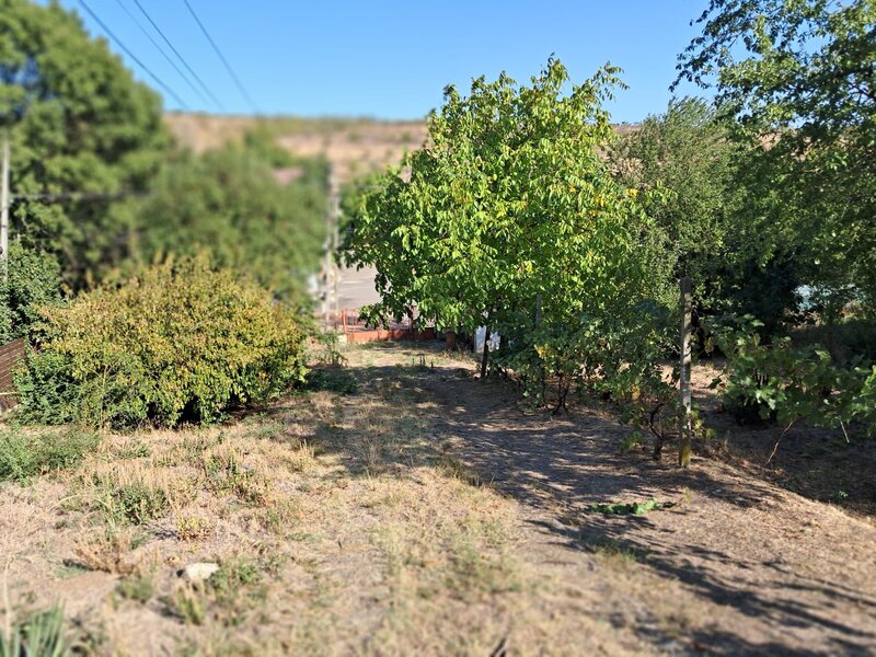 Ploiesti, Chitorani, casa plus teren 3.600 mp de vanzare,